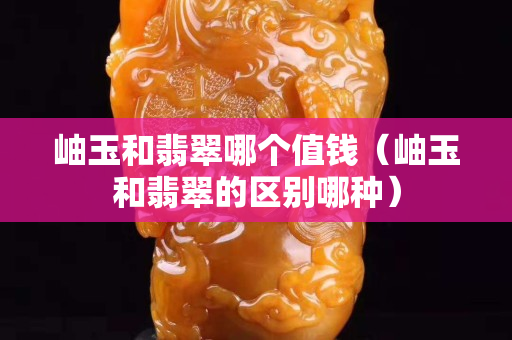 岫玉和翡翠哪个值钱（岫玉和翡翠的区别哪种）