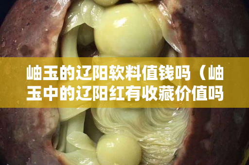 岫玉的辽阳软料值钱吗（岫玉中的辽阳红有收藏价值吗）