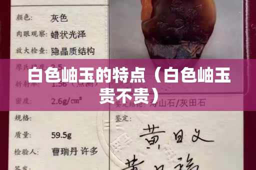 白色岫玉的特点（白色岫玉贵不贵）