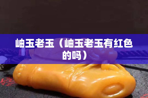 岫玉老玉（岫玉老玉有红色的吗）