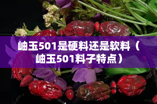 岫玉501是硬料还是软料（岫玉501料子特点）