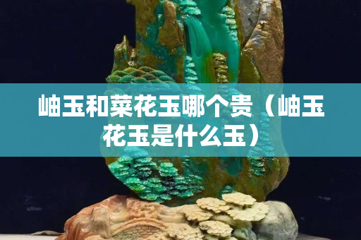 岫玉和菜花玉哪个贵（岫玉花玉是什么玉）
