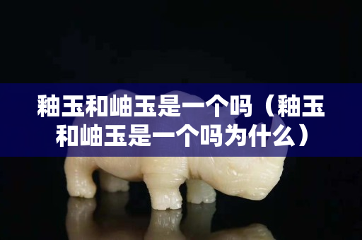 釉玉和岫玉是一个吗（釉玉和岫玉是一个吗为什么）
