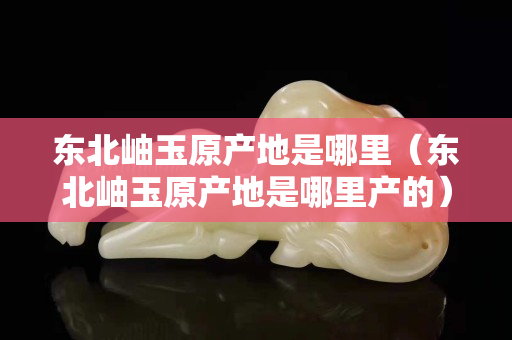 东北岫玉原产地是哪里（东北岫玉原产地是哪里产的）