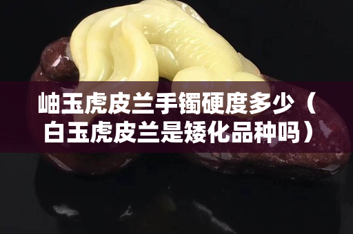 岫玉虎皮兰手镯硬度多少（白玉虎皮兰是矮化品种吗）