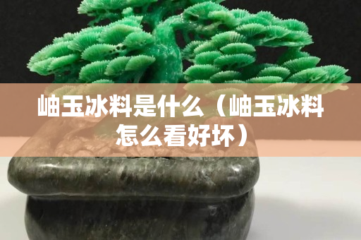 岫玉冰料是什么（岫玉冰料怎么看好坏）