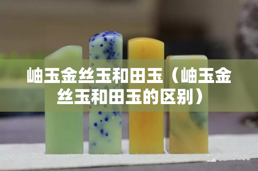 岫玉金丝玉和田玉（岫玉金丝玉和田玉的区别）