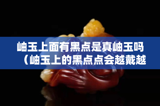 岫玉上面有黑点是真岫玉吗（岫玉上的黑点点会越戴越少吗）