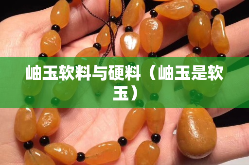 岫玉软料与硬料（岫玉是软玉）