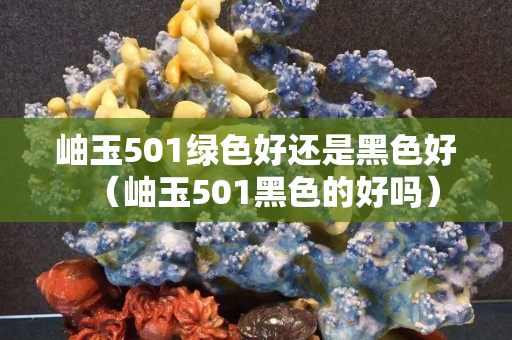 岫玉501绿色好还是黑色好（岫玉501黑色的好吗）