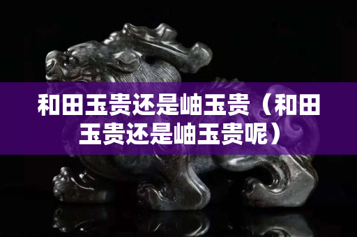 和田玉贵还是岫玉贵（和田玉贵还是岫玉贵呢）