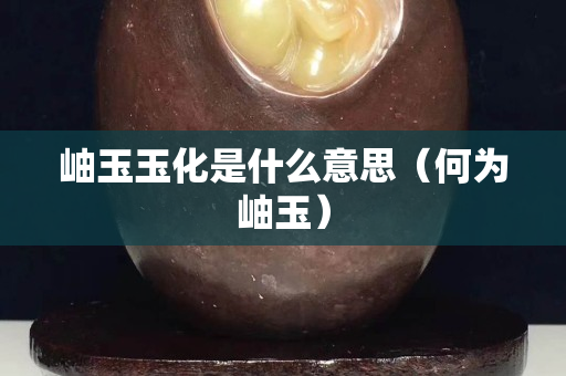 岫玉玉化是什么意思（何为岫玉）