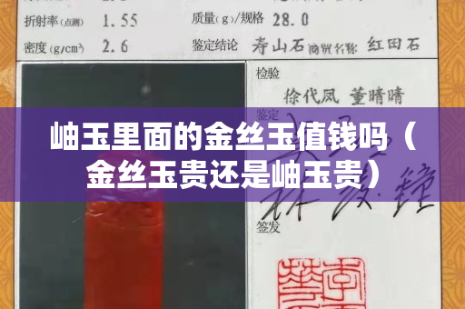岫玉里面的金丝玉值钱吗（金丝玉贵还是岫玉贵）