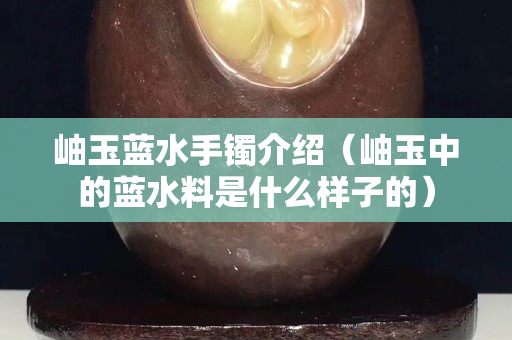 岫玉蓝水手镯介绍（岫玉中的蓝水料是什么样子的）