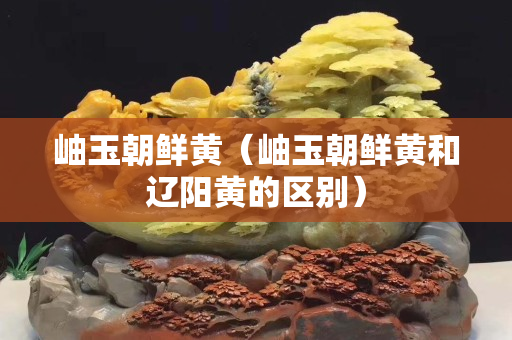 岫玉朝鲜黄（岫玉朝鲜黄和辽阳黄的区别）