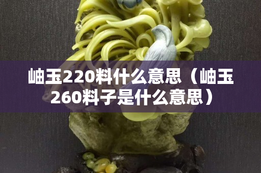 岫玉220料什么意思（岫玉260料子是什么意思）