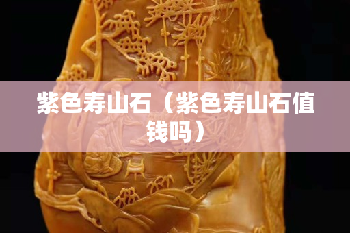 紫色寿山石（紫色寿山石值钱吗）