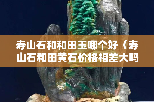 寿山石和和田玉哪个好（寿山石和田黄石价格相差大吗）
