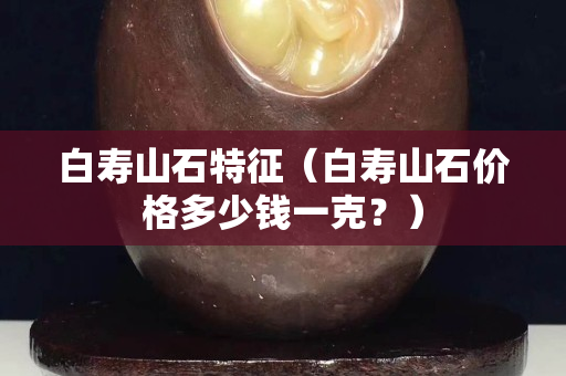 白寿山石特征（白寿山石价格多少钱一克？）