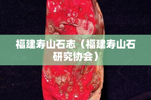 福建寿山石志（福建寿山石研究协会）