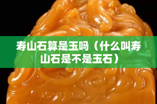 寿山石算是玉吗（什么叫寿山石是不是玉石）
