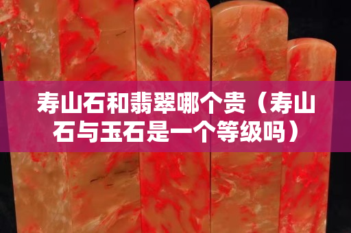 寿山石和翡翠哪个贵（寿山石与玉石是一个等级吗）