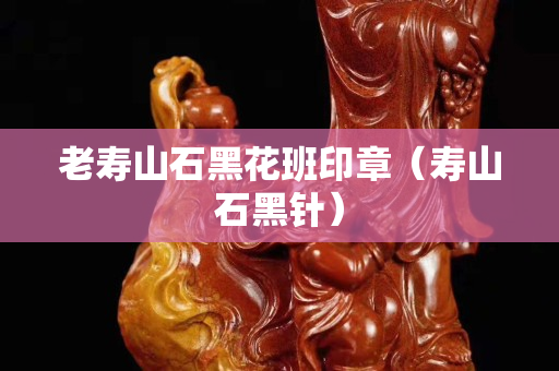 老寿山石黑花班印章（寿山石黑针）