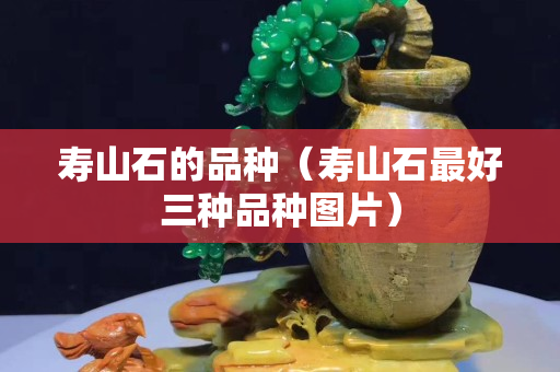 寿山石的品种（寿山石最好三种品种图片）
