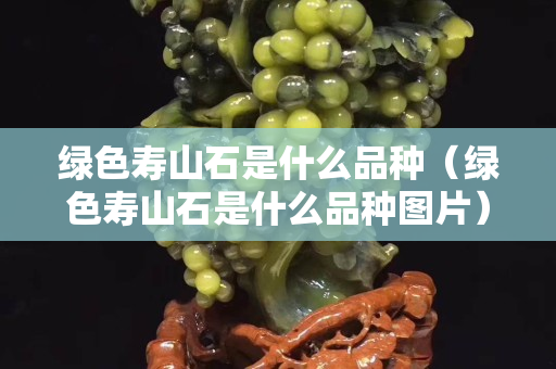 绿色寿山石是什么品种（绿色寿山石是什么品种图片）