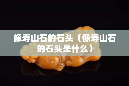像寿山石的石头（像寿山石的石头是什么）