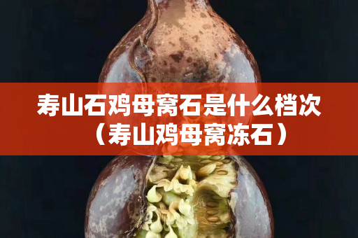 寿山石鸡母窝石是什么档次（寿山鸡母窝冻石）