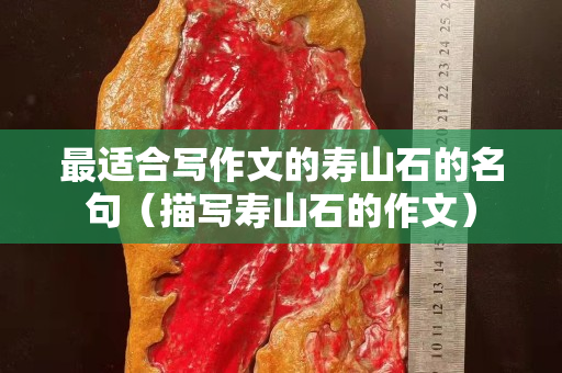 最适合写作文的寿山石的名句（描写寿山石的作文）