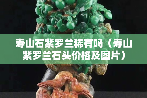 寿山石紫罗兰稀有吗（寿山紫罗兰石头价格及图片）