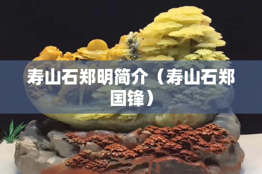 寿山石郑明简介（寿山石郑国锋）