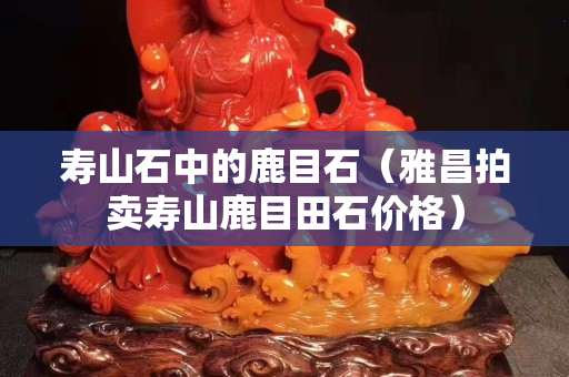寿山石中的鹿目石（雅昌拍卖寿山鹿目田石价格）