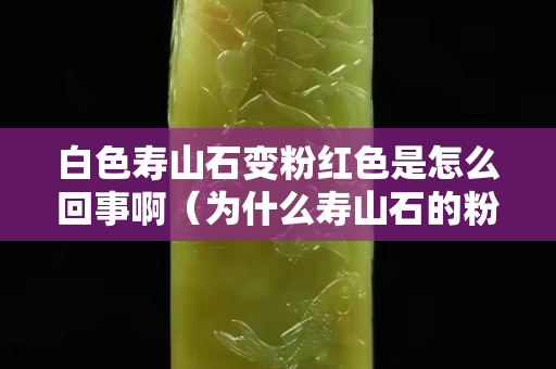 白色寿山石变粉红色是怎么回事啊（为什么寿山石的粉末是白色）