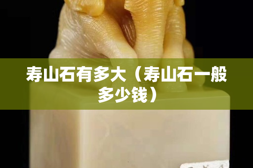 寿山石有多大（寿山石一般多少钱）