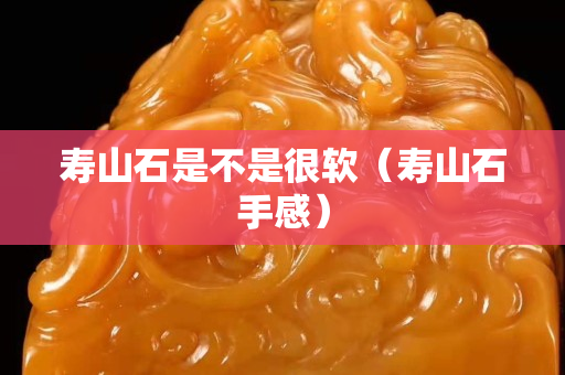 寿山石是不是很软（寿山石手感）