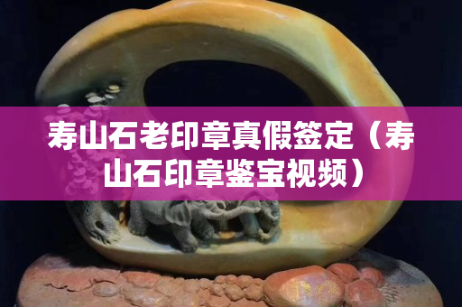 寿山石老印章真假签定（寿山石印章鉴宝视频）