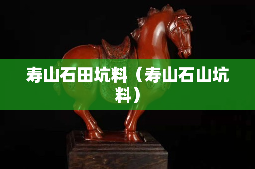 寿山石田坑料（寿山石山坑料）