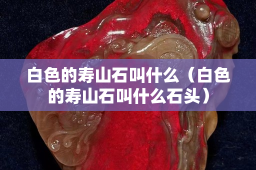 白色的寿山石叫什么（白色的寿山石叫什么石头）