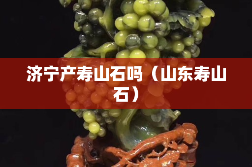 济宁产寿山石吗（山东寿山石）