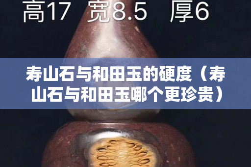 寿山石与和田玉的硬度（寿山石与和田玉哪个更珍贵）