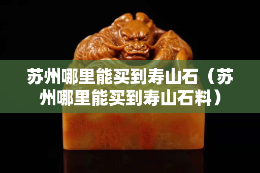 苏州哪里能买到寿山石（苏州哪里能买到寿山石料）
