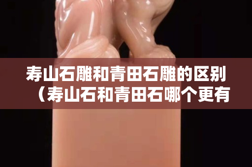 寿山石雕和青田石雕的区别（寿山石和青田石哪个更有收藏价值）
