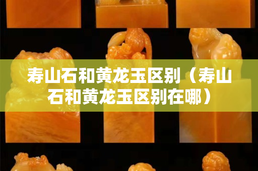 寿山石和黄龙玉区别（寿山石和黄龙玉区别在哪）