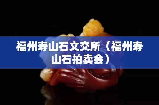 福州寿山石文交所（福州寿山石拍卖会）