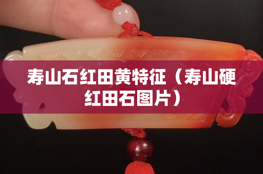 寿山石红田黄特征（寿山硬红田石图片）