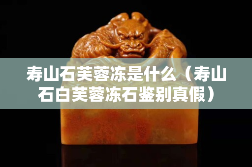 寿山石芙蓉冻是什么（寿山石白芙蓉冻石鉴别真假）