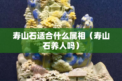 寿山石适合什么属相（寿山石养人吗）